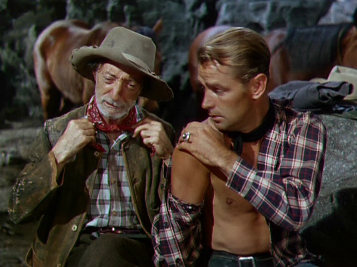 Branded Alan Ladd